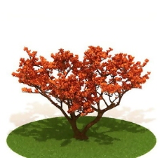 精品国外植物3D模型8