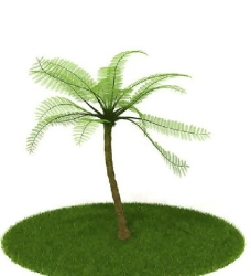 精品国外植物3D模型15
