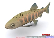 鱼3D模型1