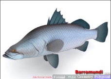 鱼3D模型6