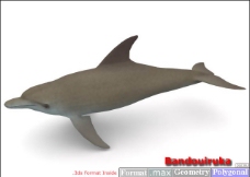鱼3D模型5