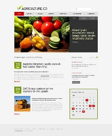 美食餐饮餐饮美食行业网页设计