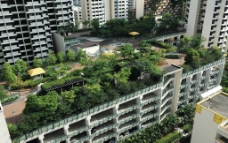 新加坡花园顶组屋摄影图片