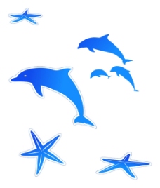 海星和海豚