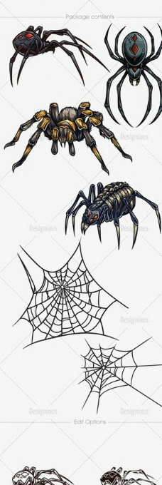 蜘蛛 纹身图案图片