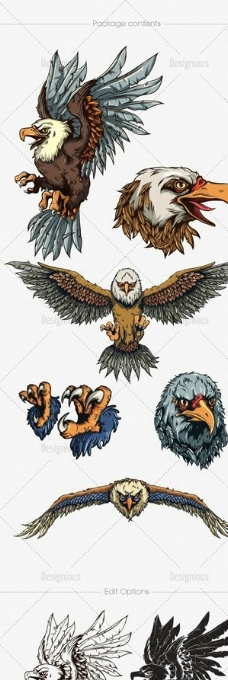 老鹰 纹身图案图片